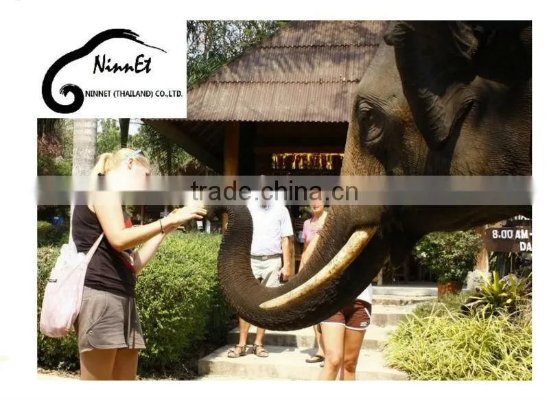 Wood Carved Elephant from Thailand