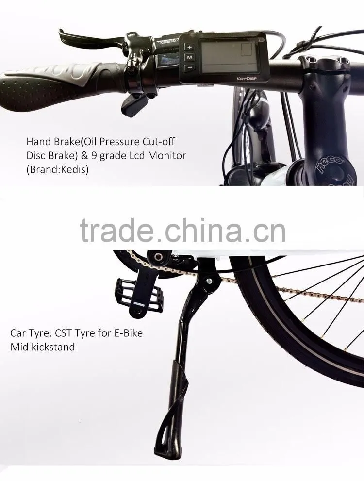High Quality Electric Bike, 36V 250W Long Mileage Factory OEM Electro Bike For USA, Europe