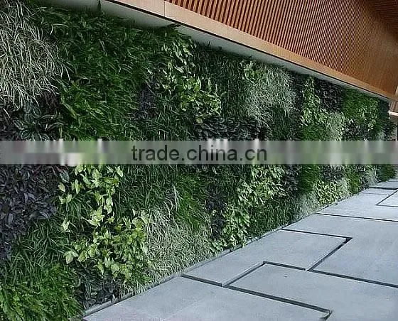 fake wall indoor/ourdoor manufacturer (80X80cm) artificial living wall