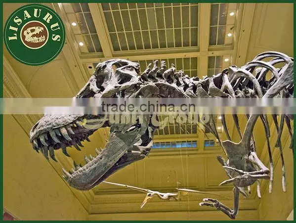Lisaurus-I dinosaur skull head dinosaur skull puzzle for dino park theme park dinosaur skeleton puzzles