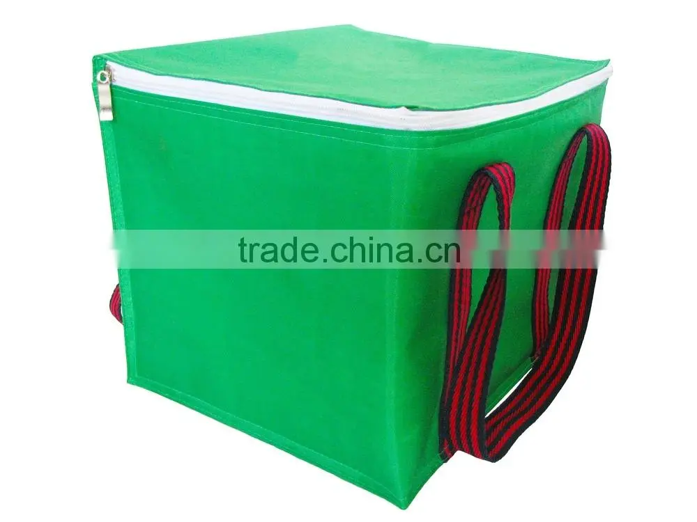 Cooler Bag