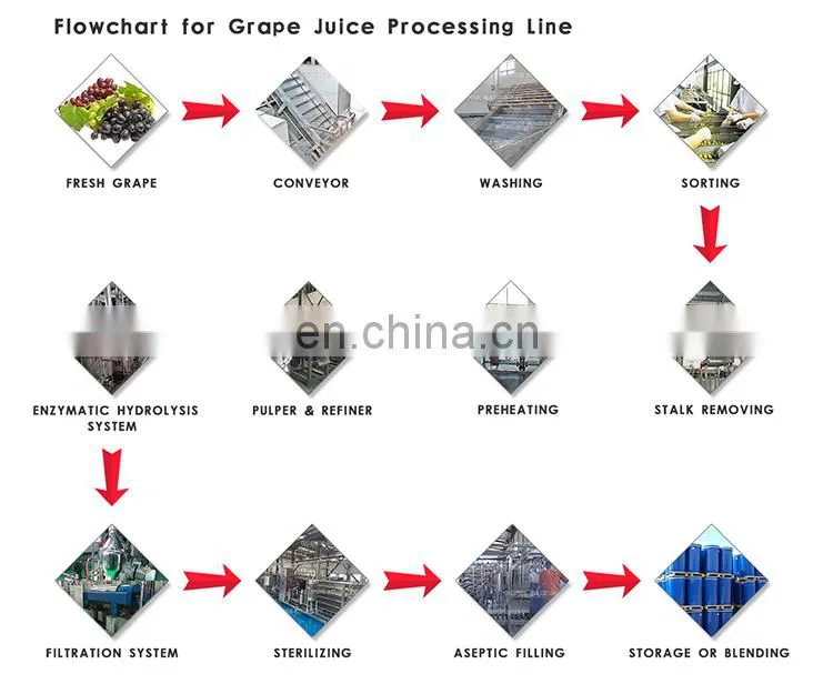 China newest grape fruit juice machine production line manufacturers