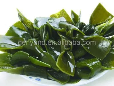 Seaweed Washing Machine/Industrial Washing Drying Machine/seaweed Nitrate Packaging Machine