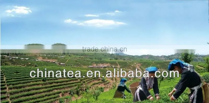 Natural Yunnan slimming Puer tea