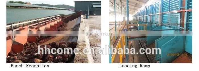 Certified palm kernel oil extraction machine, palm oil extraction machine price
