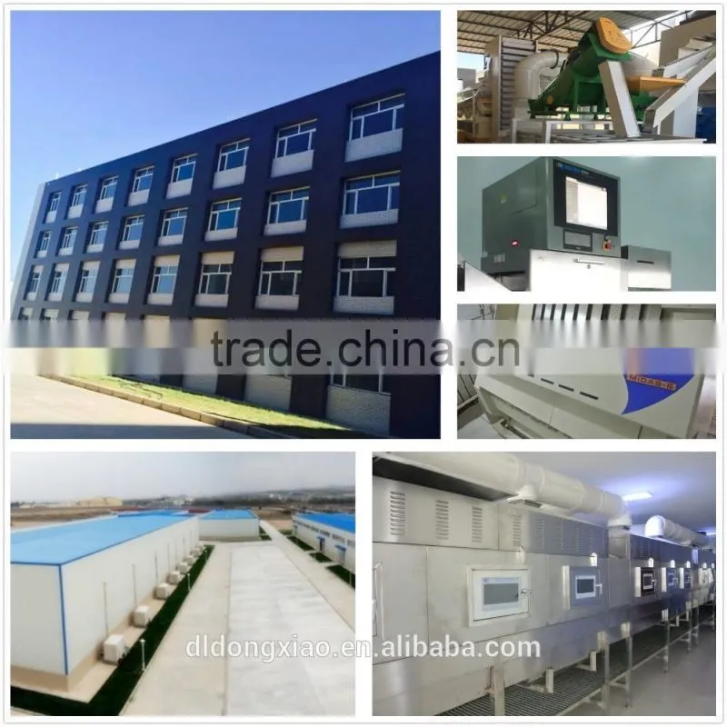 Dalian East Dawn Shine Skin Pumpkin Seeds Suppliers