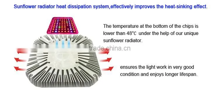200W LED Grow Light for Greenhouse 300 watt led grow light