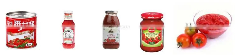 Europe Quality China Price Ketchup Packaging Machine