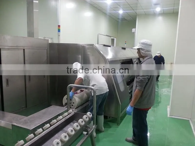 High-tech high pressure processing equipment food processing for sale with CE certificate