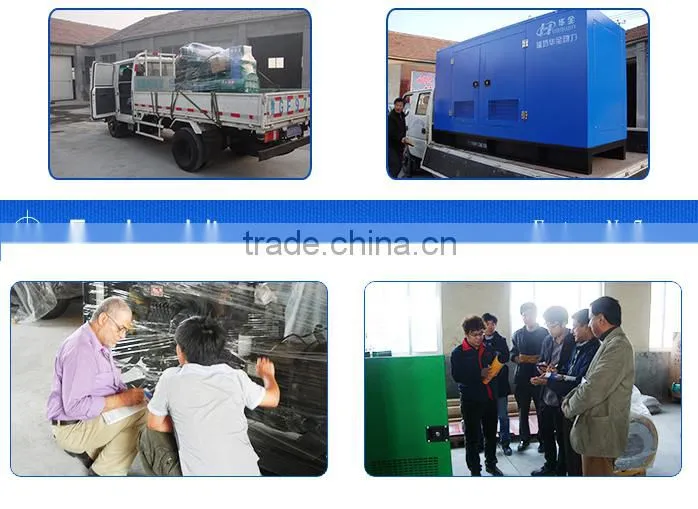 china famous brand weifang ricardo 3 phase 100kva diesel generator in labanon