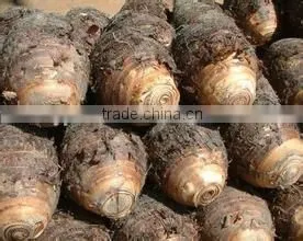 New crop dried taro with high quality