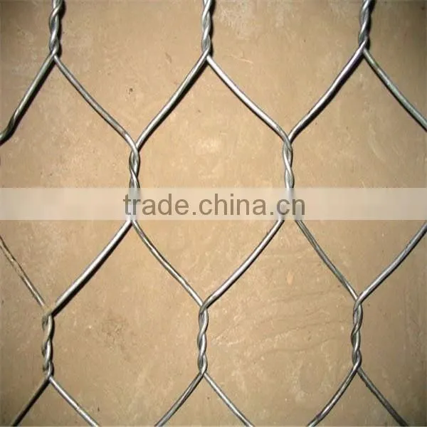 High quality Chicken wire mesh