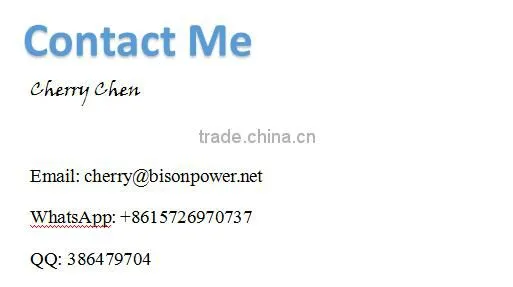 Bison China Taizhou DC 48V Generator
