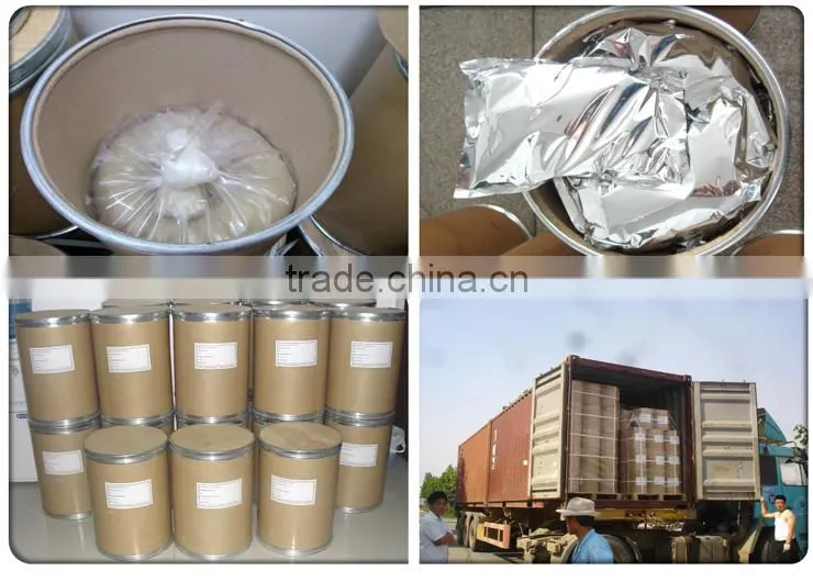 Non-animal fungal chitosan for diet supplement