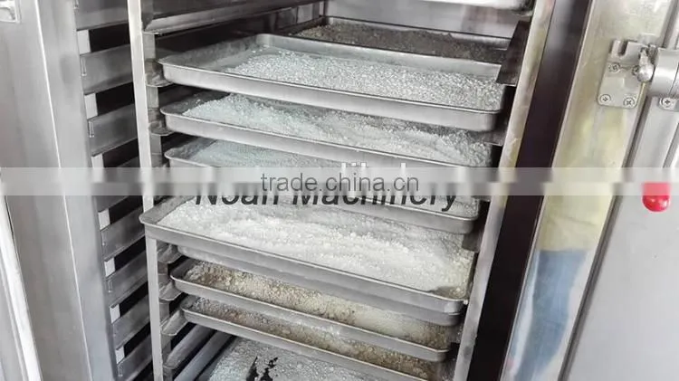 RXH Series Fruit Drying Machine/Food Oven