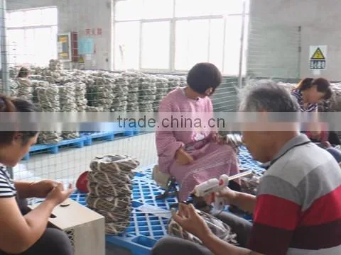 Linyi O.lvy Agriculture Comprehensive Development Co., Ltd. company overview - view 1