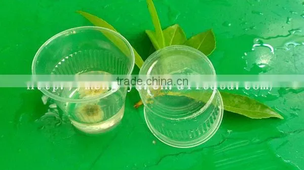 6oz disposable plastic beverage cup