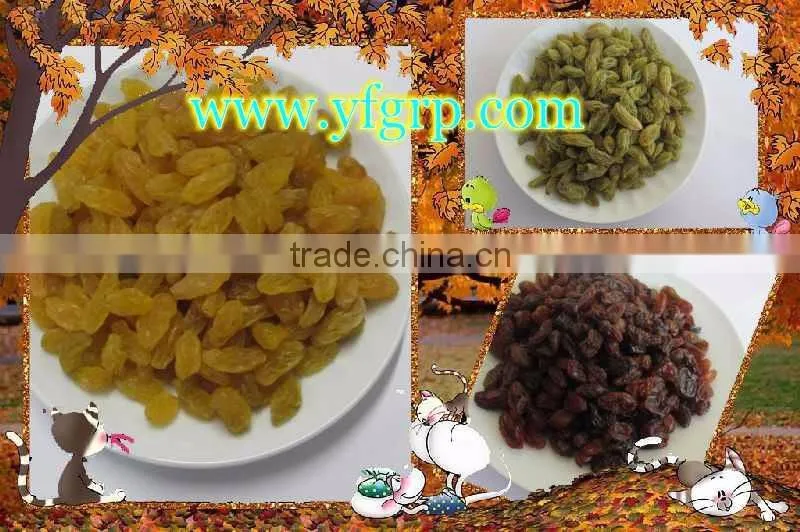 sell snack sultana raisin with cheap price
