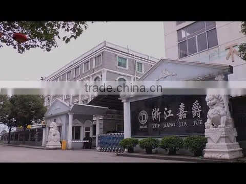 Zhejiang Jiajue Motorcycle Manufacturing Co., Ltd. company overview - view 1