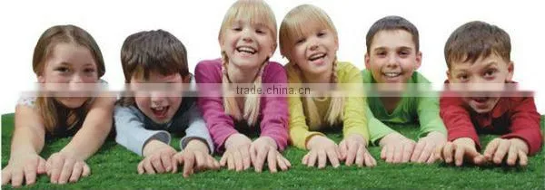 New design high quality cheapest Amusement Outdoor Playground Electric Mini Track Train