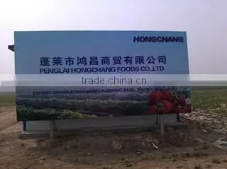 Penglai Hongchang Foods Co., Ltd. company overview - view 3