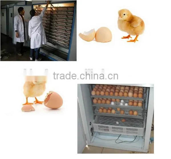 newest design automatic egg incubator / 112 egg incubator