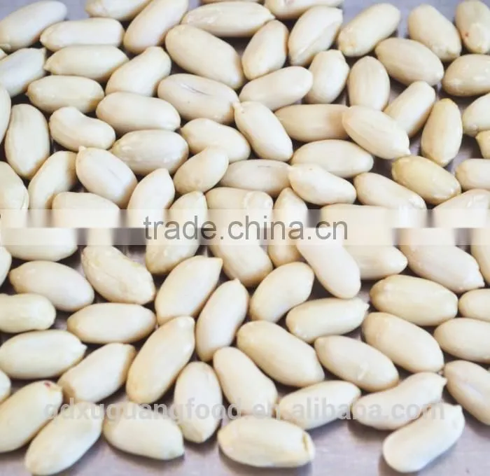 China Produce Authority Certification ISO9001 CE Blanched Peanut Kernels