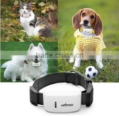 Free Website Service Mini TK909 Waterproof Pet GPS Tracker Long Standby Time Dog GPS Tracker