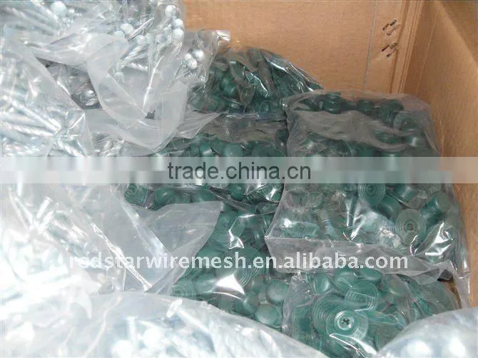 Plastic Head Roofing Nails Factory
