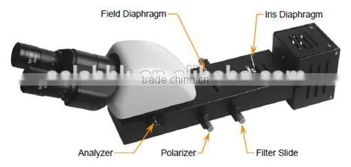 biological/clinical microscope metallurgical digital