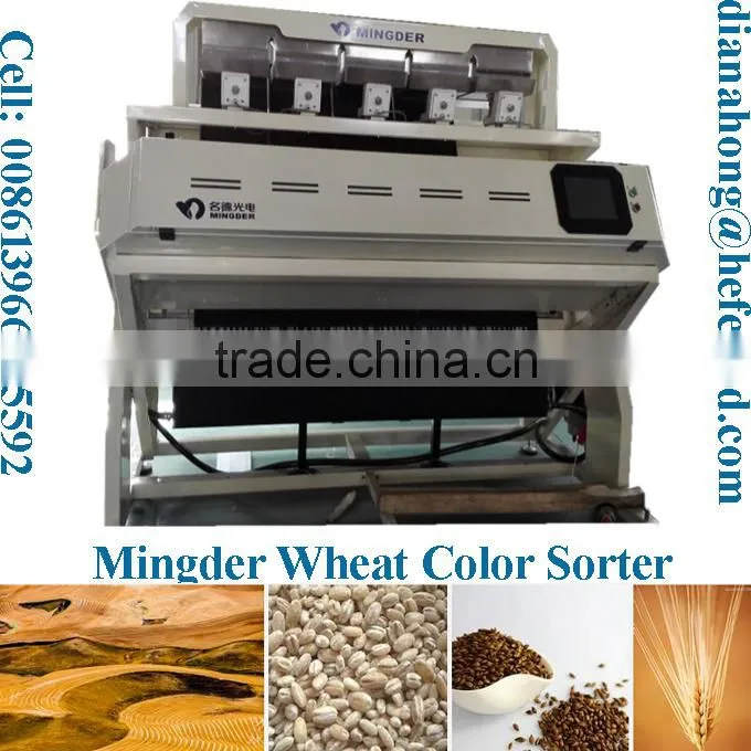 2015 new products 384 channels led light wheat color sorter with resonable rice