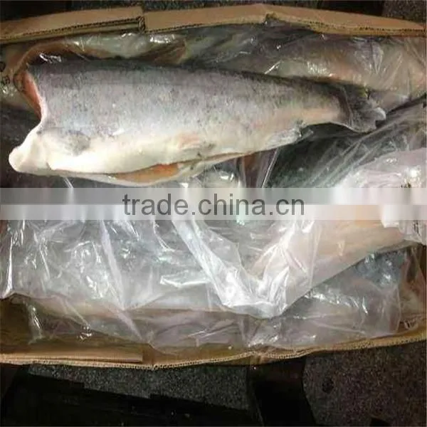 deep sea well taste or market fish and frozen seafood