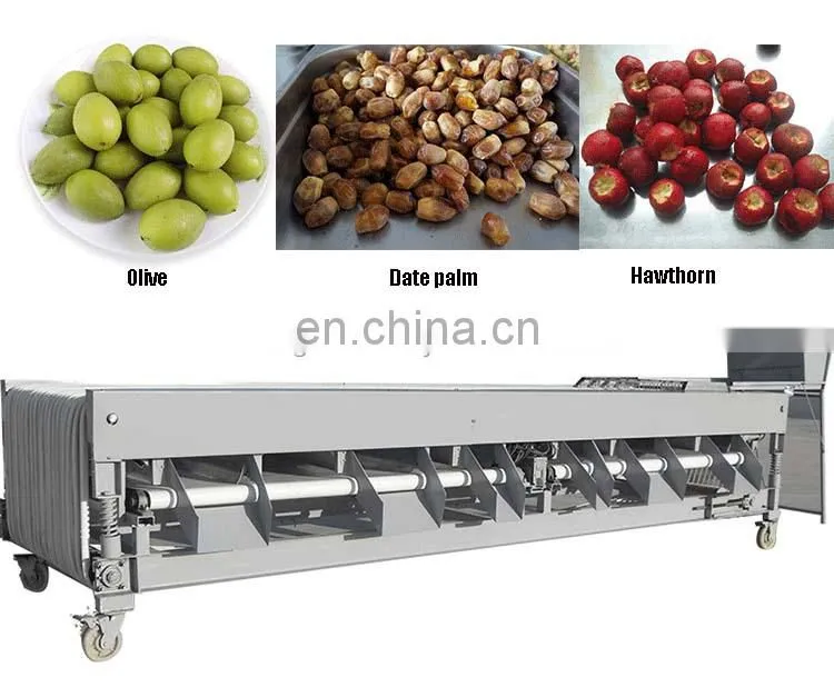 multi-use fruit and vegetable grading machine