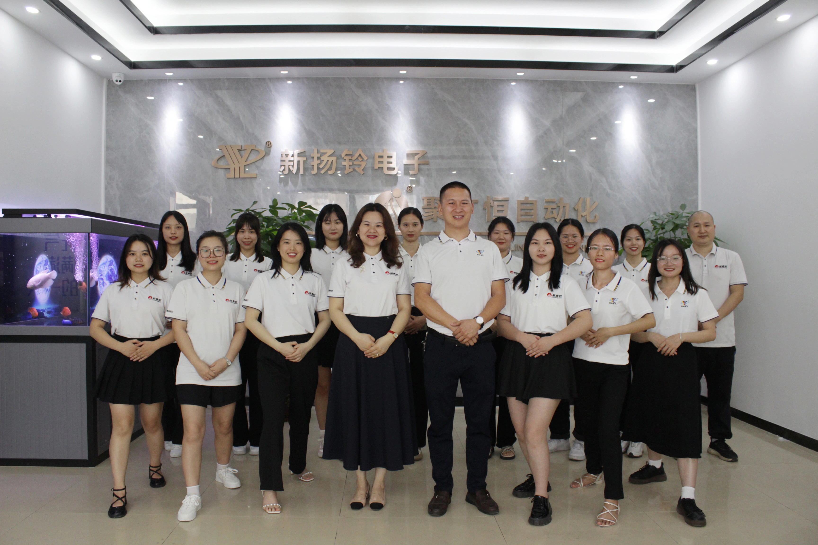 Dongguan Yangling Electronic Commerce Co., LTD company overview - view 1