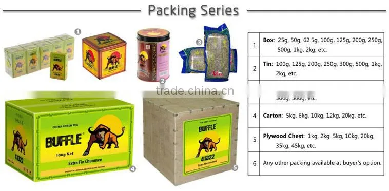 Chinese Green tea Gunpowder 8622