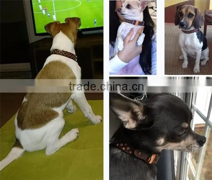 New HOT Selling PVC leather Dog Collar And Leash Dog Neck Collar