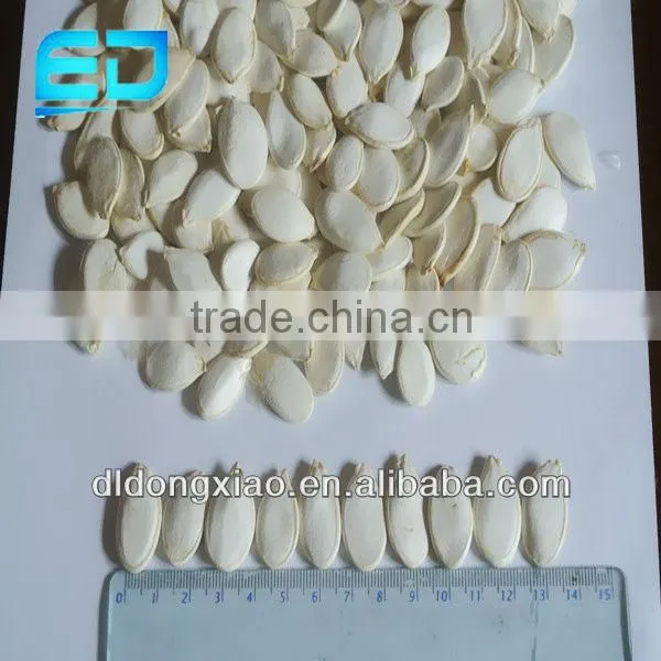 Chinese Shop Online Plant Seeds for Agricultural Snow White Pumpkin Seeds