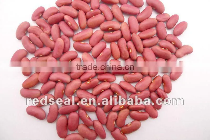 Organic pink kidney beans 2016