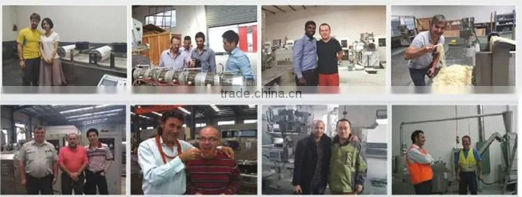 2D Snakcs Pellets Producting and Frying Automatic Processing Line