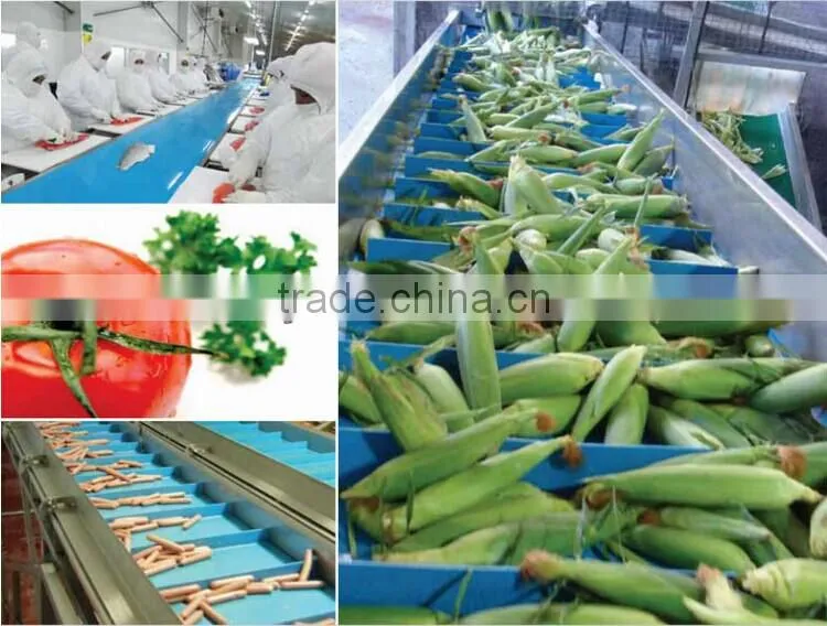 Food grade PVC/PU conveyor belt Sushi conveyor belt