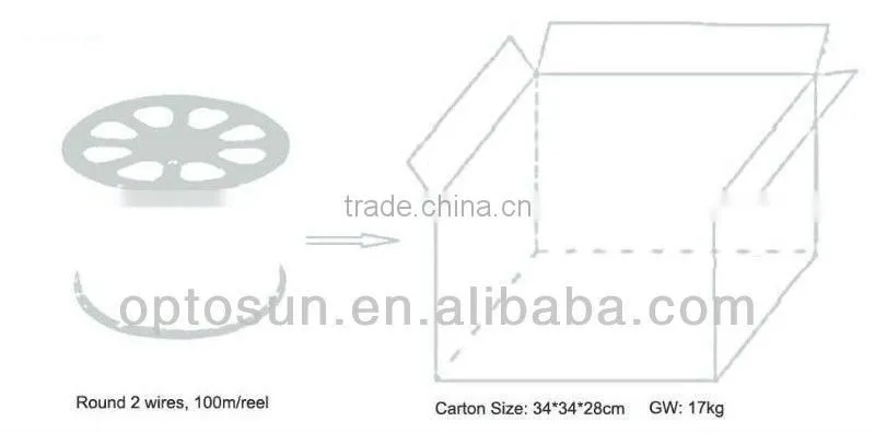 LED With CE RoHS certification house decoration wateproof DC12V 24V AC220V LED rope light