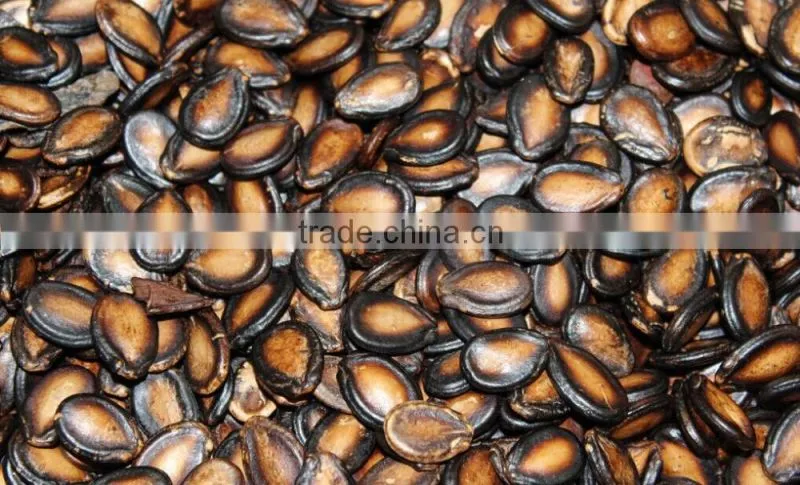 2015 new crop superior quality hot sale watermelon seeds specification