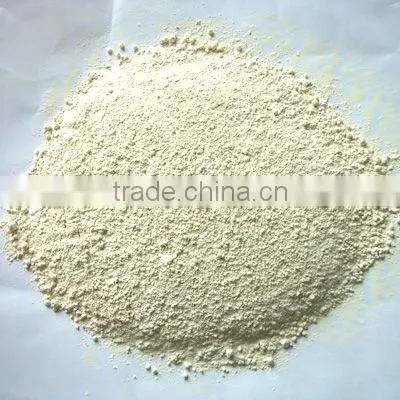 dehydrated roasted garlic flakes/ powder