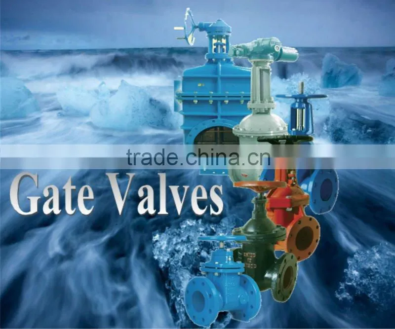 DN50~DN600 Resilient Seated Gate Valve