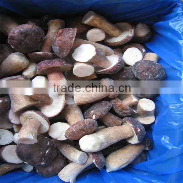 2016 crop frozen boletus edulis mushroom with best price