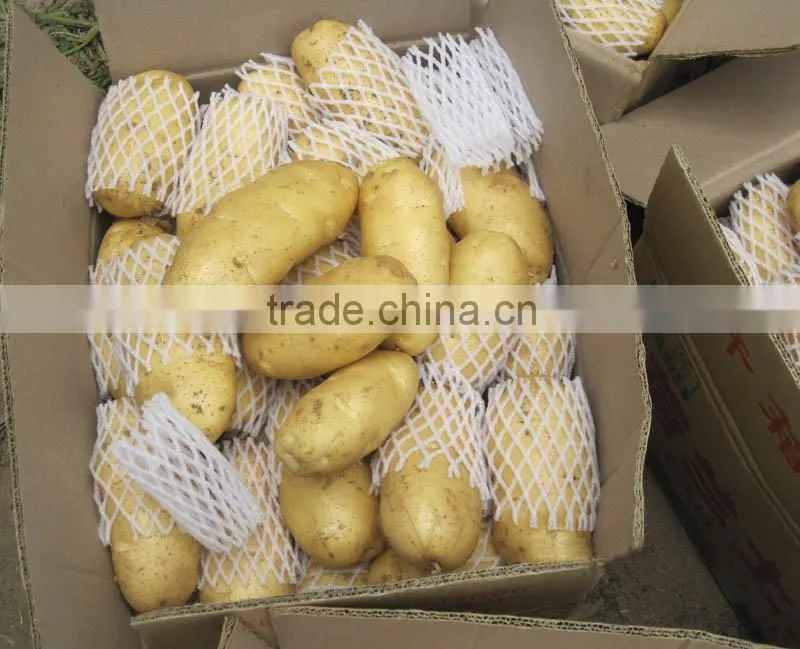 fresh potato crop 2010