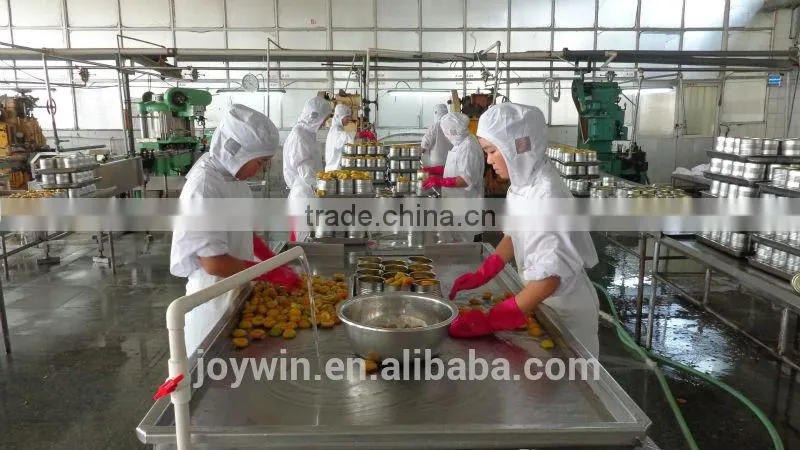 Canned fresh apricots in syrup manufacturer