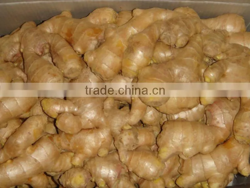 Fresh Ginger