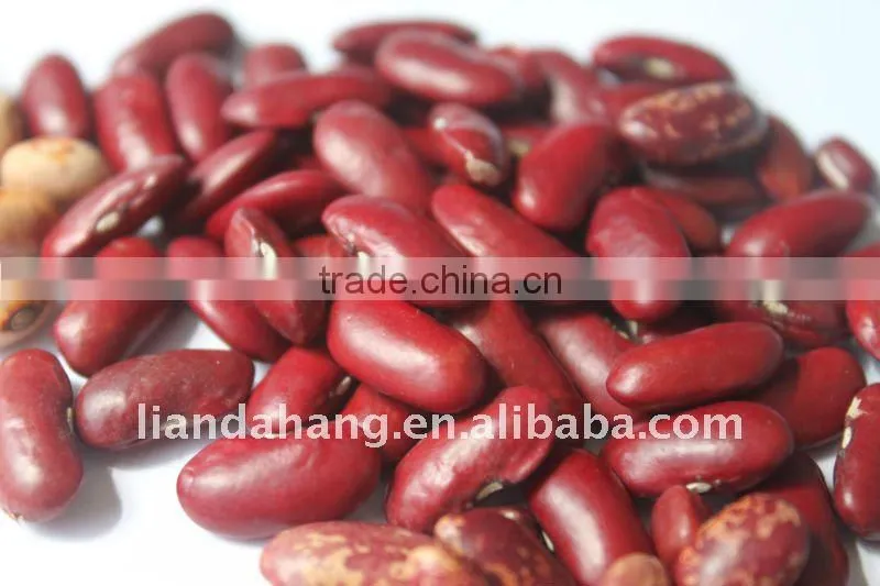 Pinto Beans