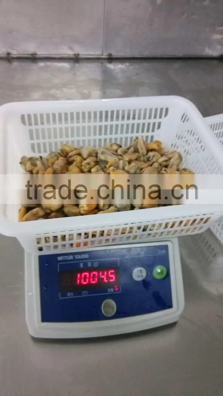 Frozen mussel boiled meat seafood price from seafood company
